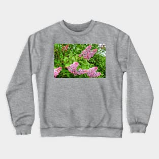 Lilac Bush Crewneck Sweatshirt